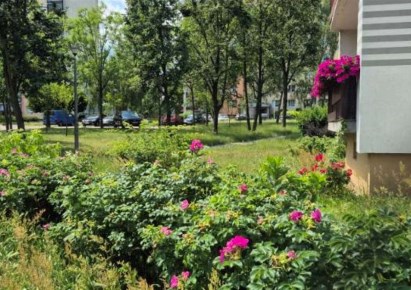 mieszkanie na sprzedaż - Częstochowa, Północ, Wincentego Witosa